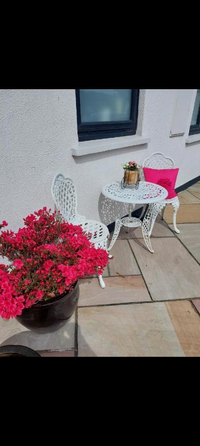 Knockrobin Cottage Wicklow Bagian luar foto